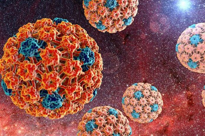 how the human papillomavirus is transmitted