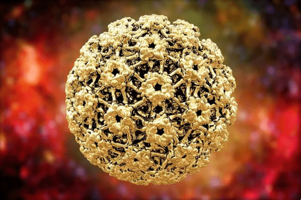 Human papilloma virus