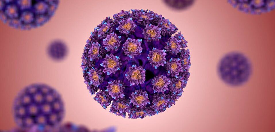 how is the human papillomavirus